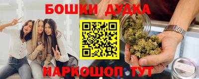 гашик Шелехов
