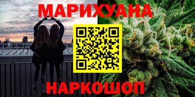 гашик Шелехов