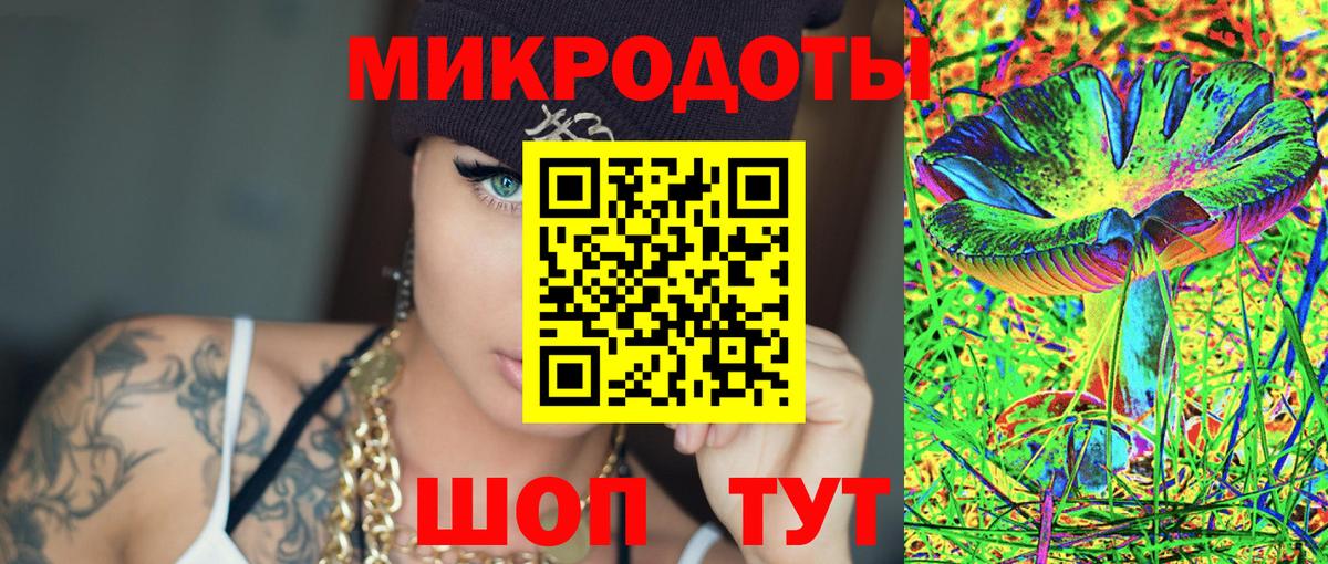Псилоцибиновые грибы Psilocybe Менделеевск